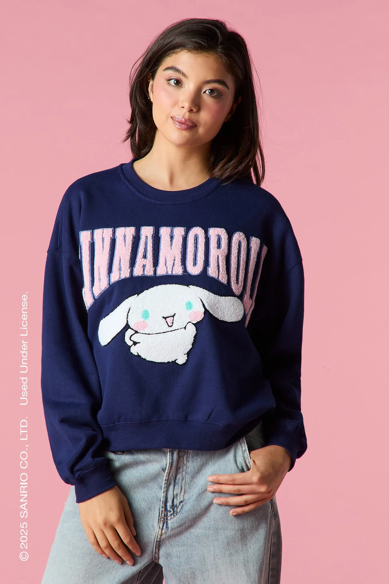 Chandail en molleton avec motif brodé Cinnamoroll sold by Urban Planet