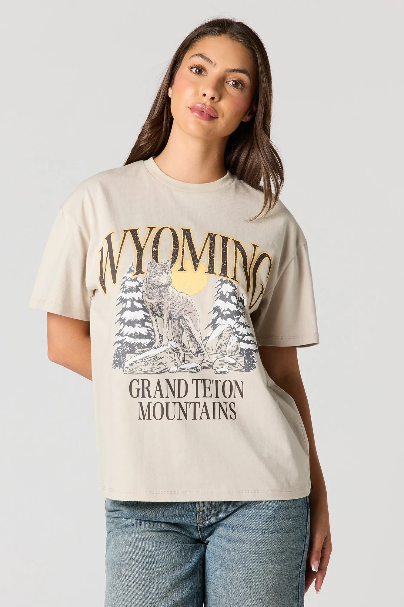 Luxe Heavy Cotton Graphic Boyfriend T-Shirt sold by Urban Planet product image thumbnail 2