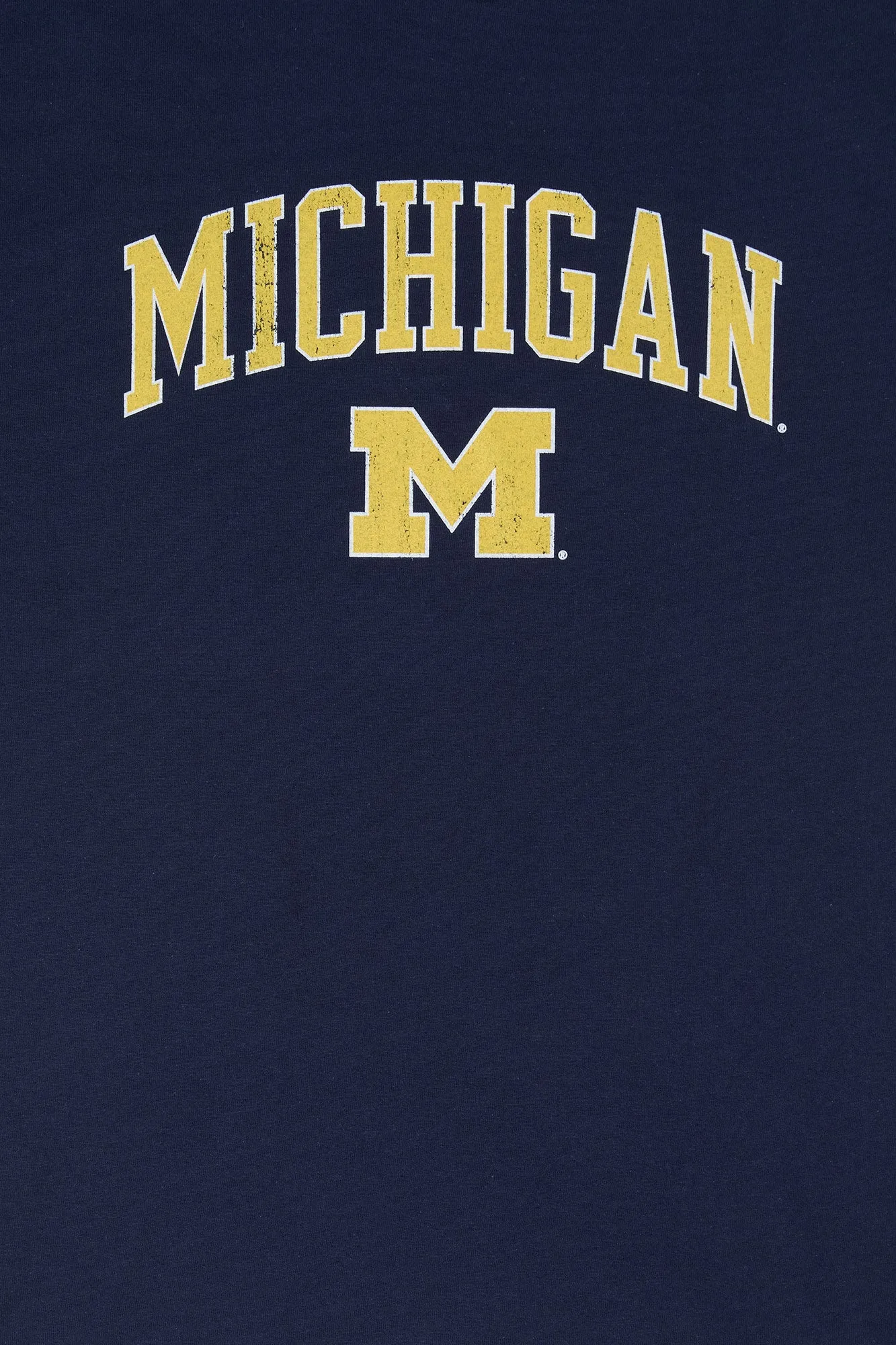 University of Michigan Graphic T-Shirt sold by Urban Planet product image thumbnail 4