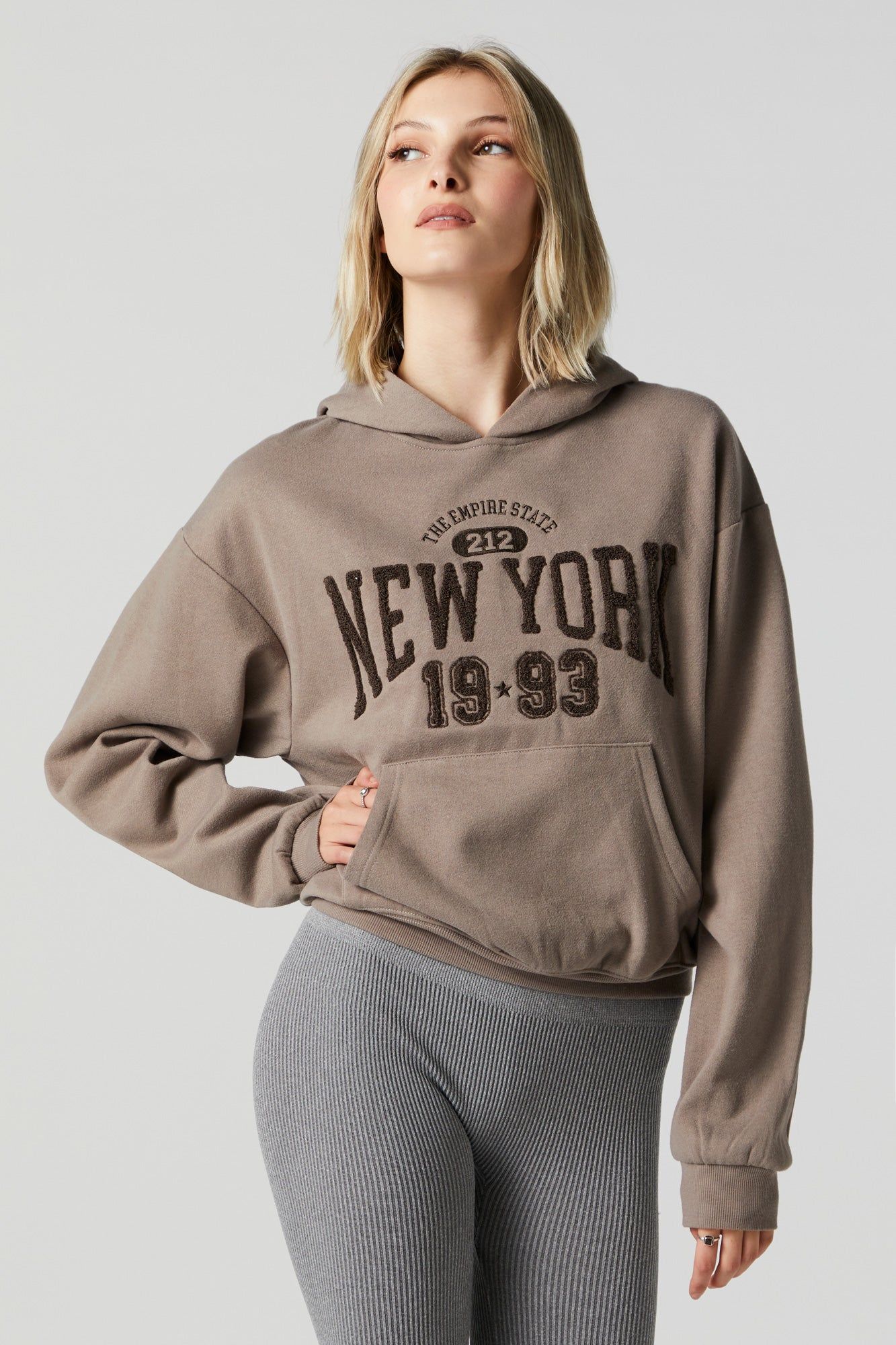 New York Chenille Embroidered Fleece Hoodie sold by Urban Planet