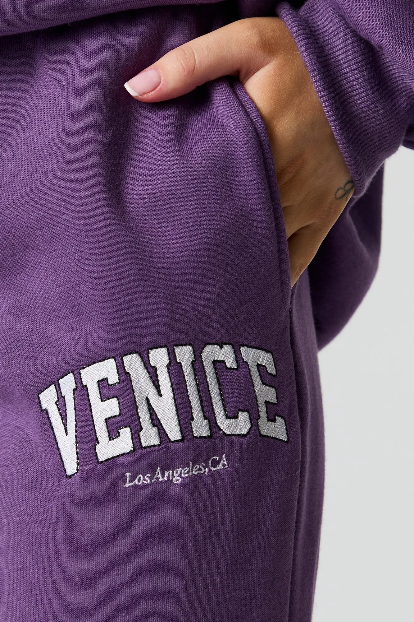 Destination Embroidered Fleece Jogger sold by Urban Planet product image thumbnail 4