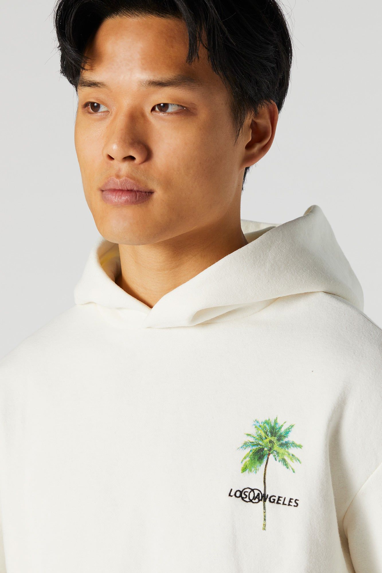 Los Angeles Graphic Fleece Hoodie sold by Urban Planet product image thumbnail 5