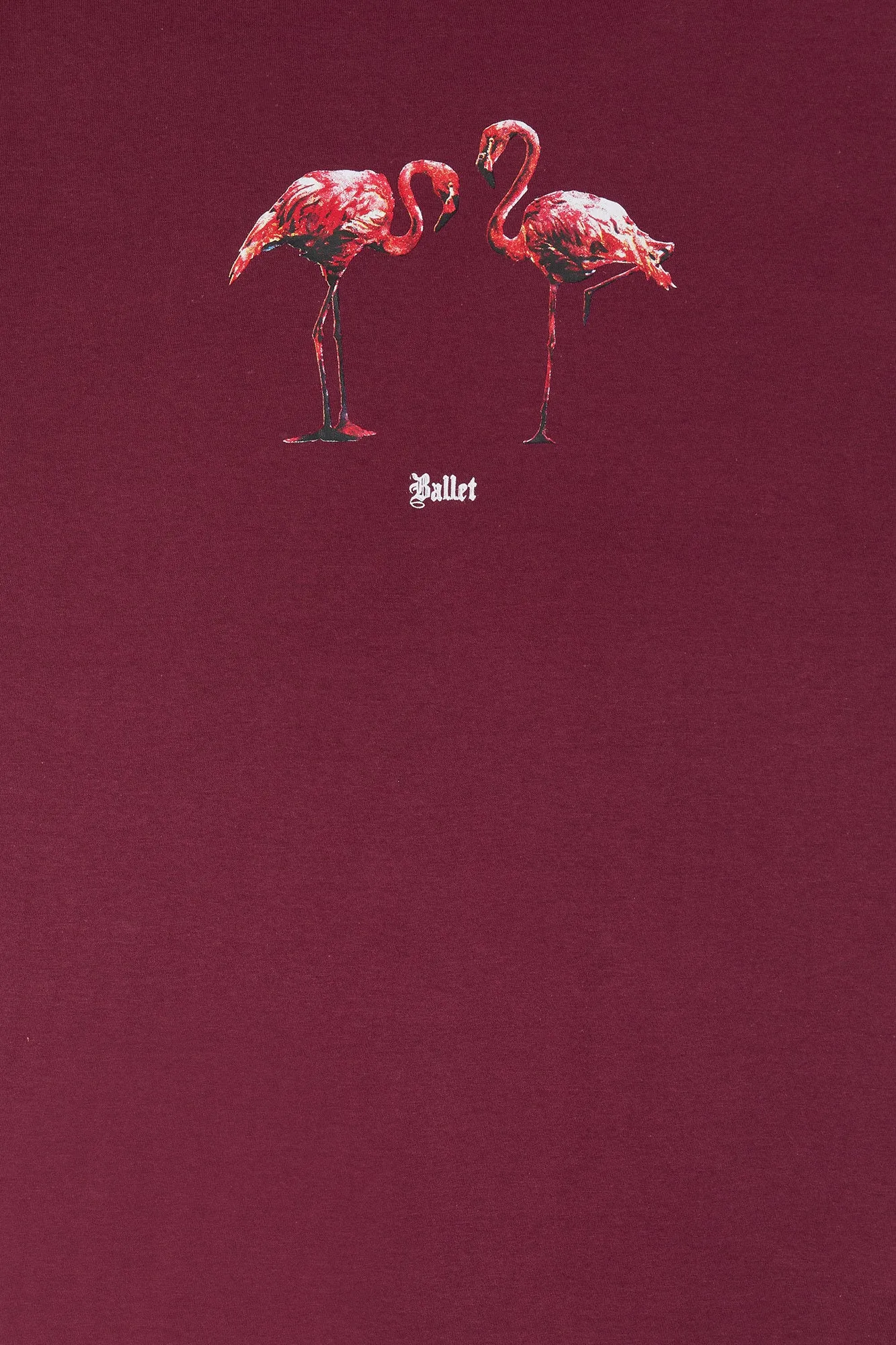 Flamingo Ballet Graphic T-Shirt sold by Urban Planet product image thumbnail 4