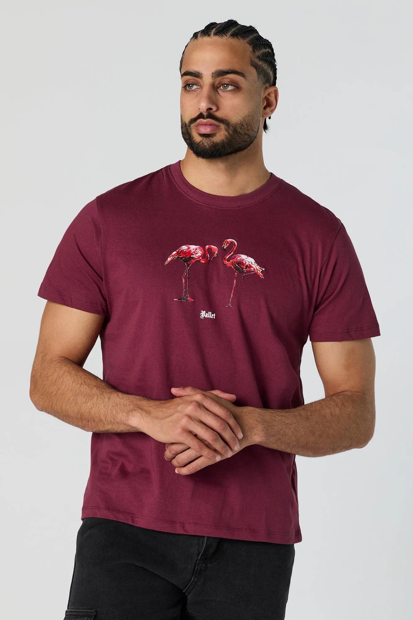 Flamingo Ballet Graphic T-Shirt sold by Urban Planet