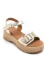 Cameron Gold Buckle Sandals sold by Va Va Voom