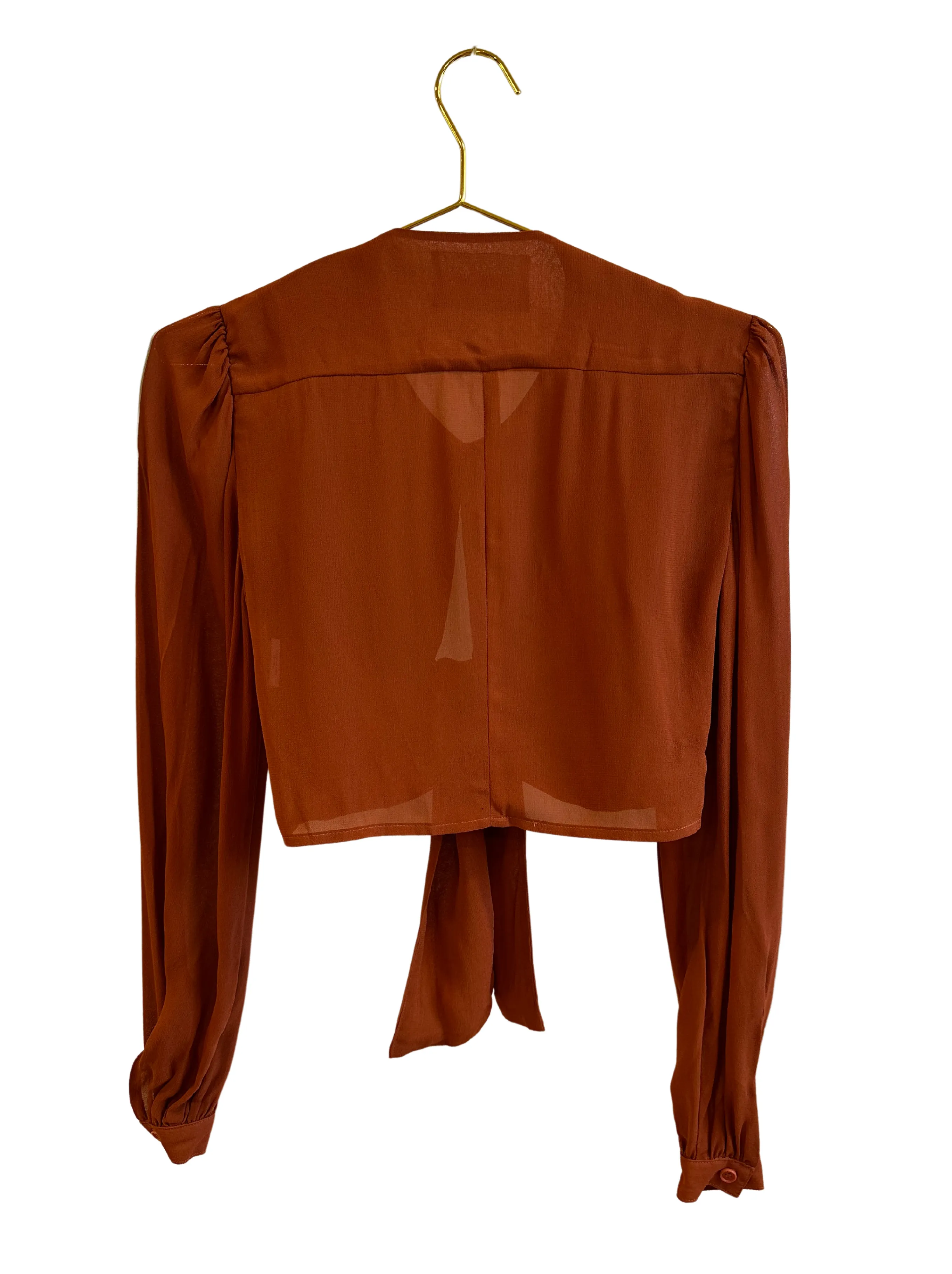 Brown Sheer Reformation Blouse sold by Vanessa Mooney product image thumbnail 2