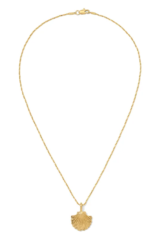 The Lucy Shell Necklace sold by Vanessa Mooney