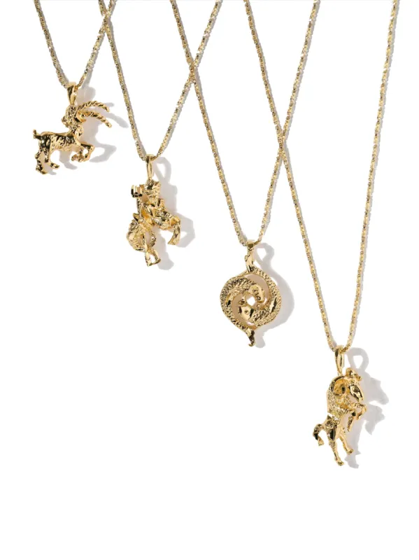 The Zodiac Sign Necklace sold by Vanessa Mooney