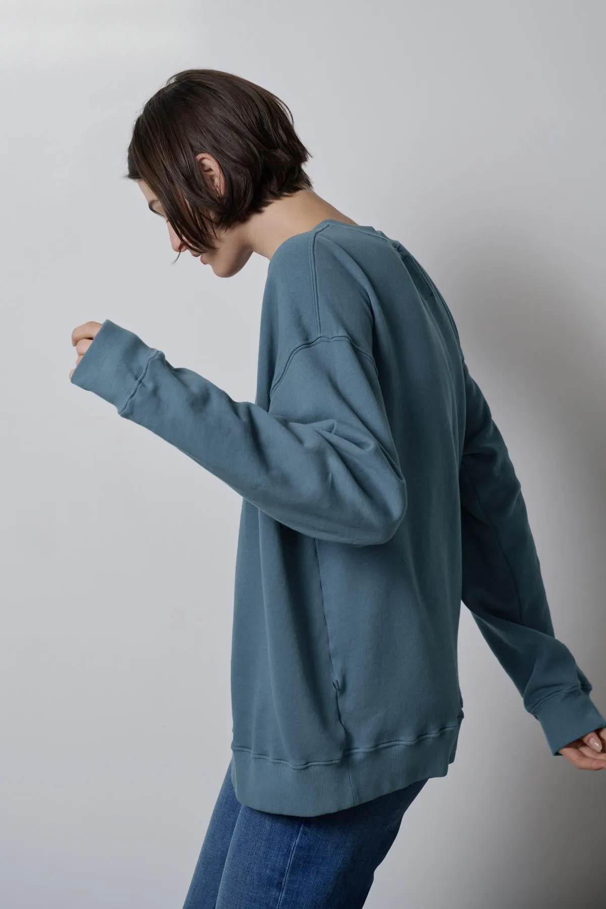 ABBOT SWEATSHIRT sold by Velvet by Graham & Spencer product image thumbnail 2
