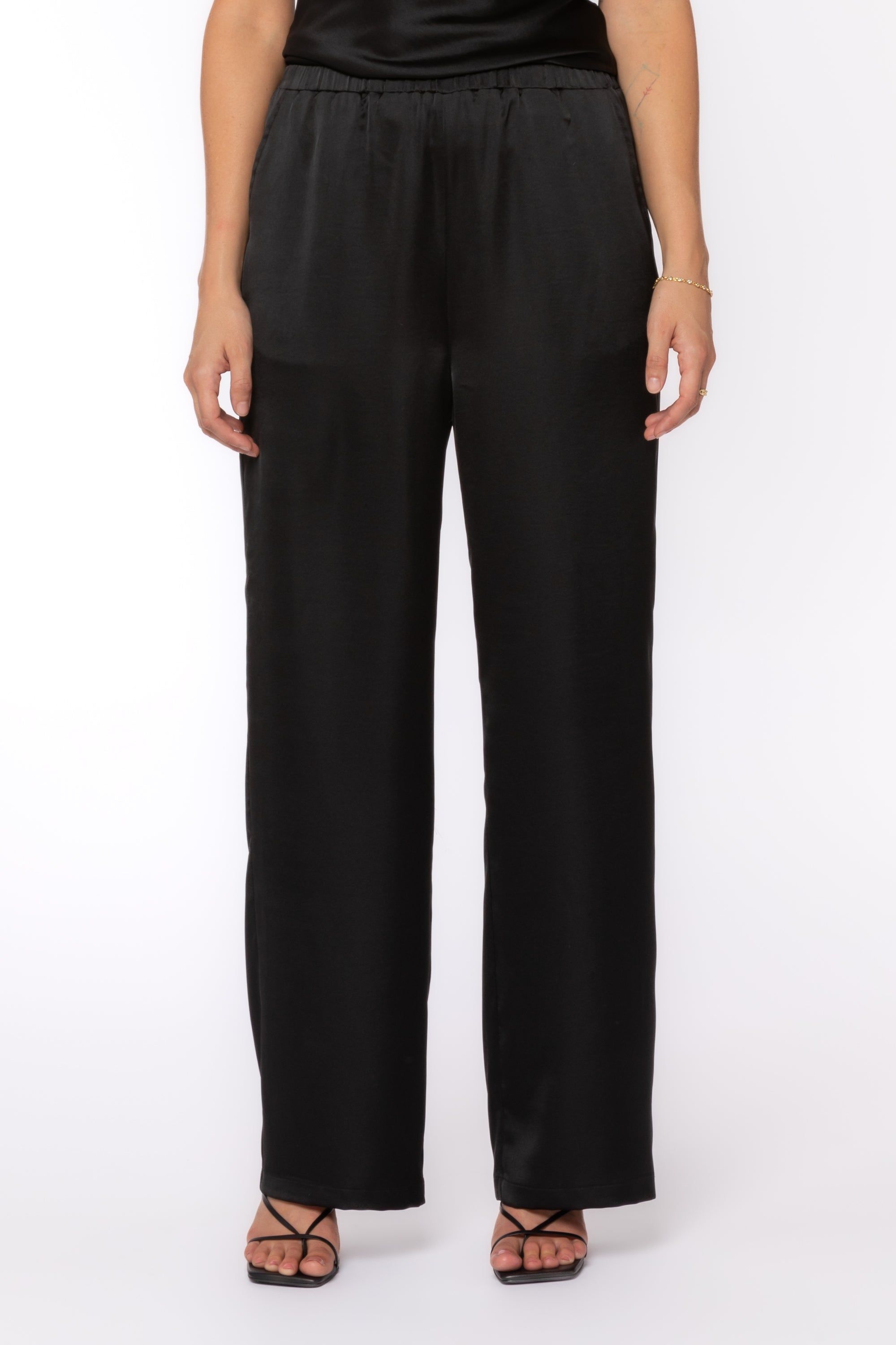 Morelia Jet Black Pants sold by Velvet Heart product image thumbnail 2