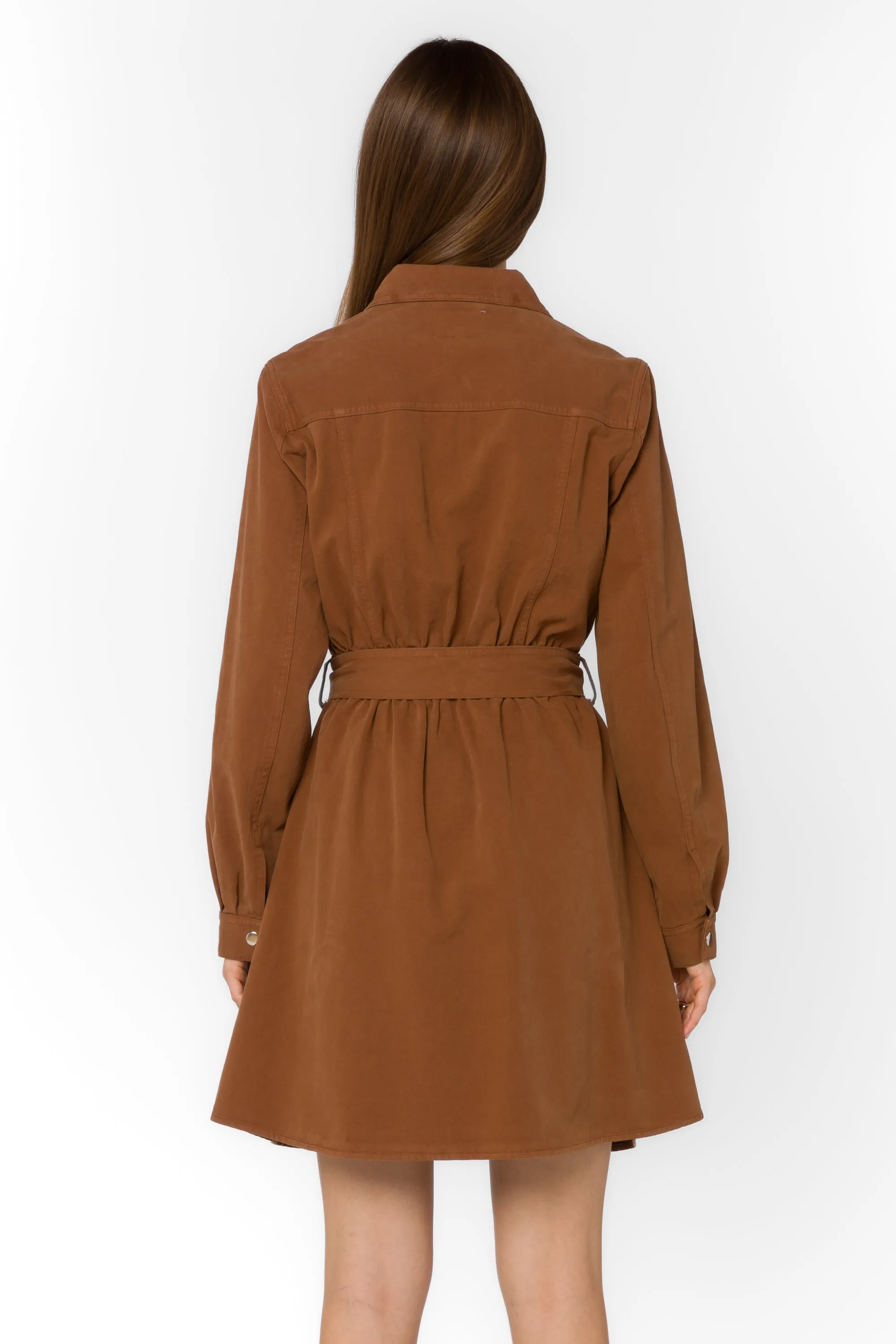 Deena Java Brown Dress sold by Velvet Heart product image thumbnail 4