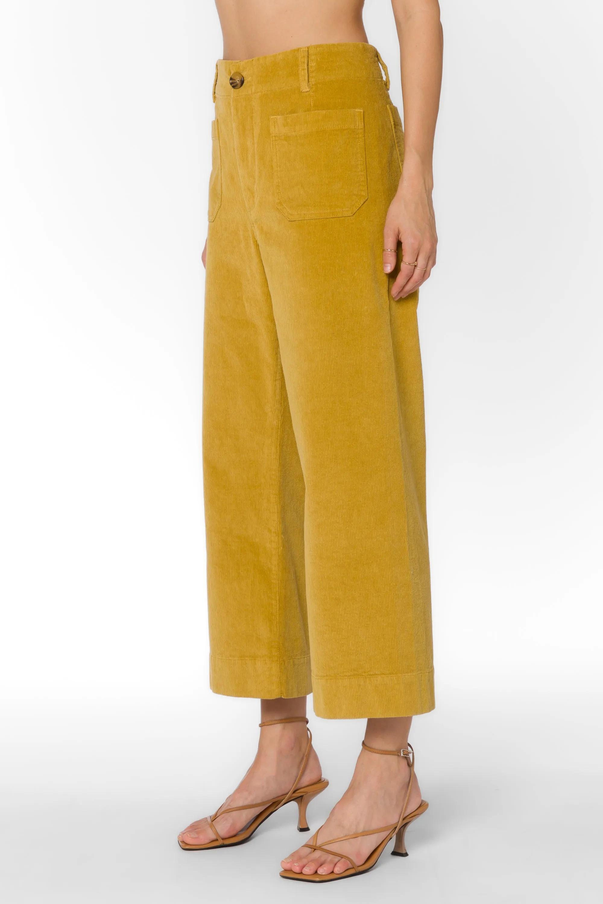 Alyx Chai Tea Pants sold by Velvet Heart product image thumbnail 3