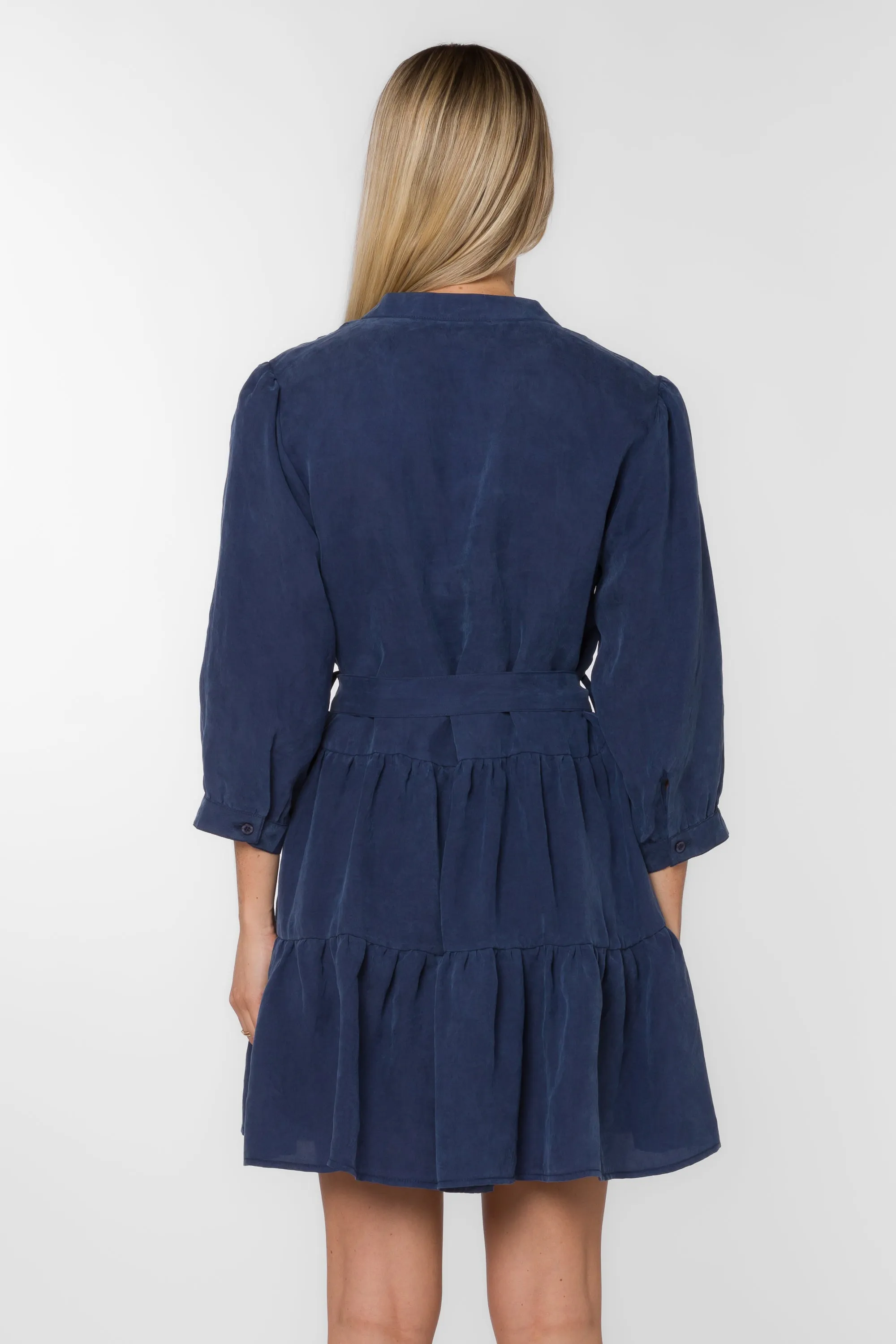 Noelle Navy Dress sold by Velvet Heart product image thumbnail 4