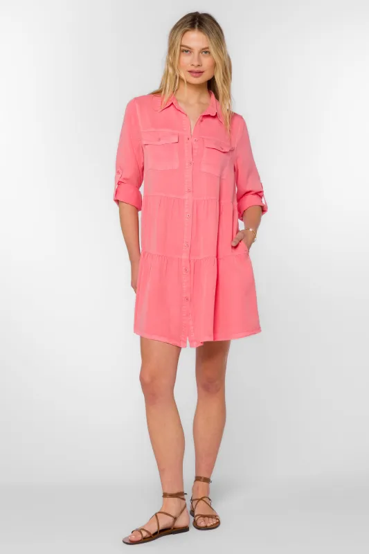 Bree Strawberry Ice Dress sold by Velvet Heart