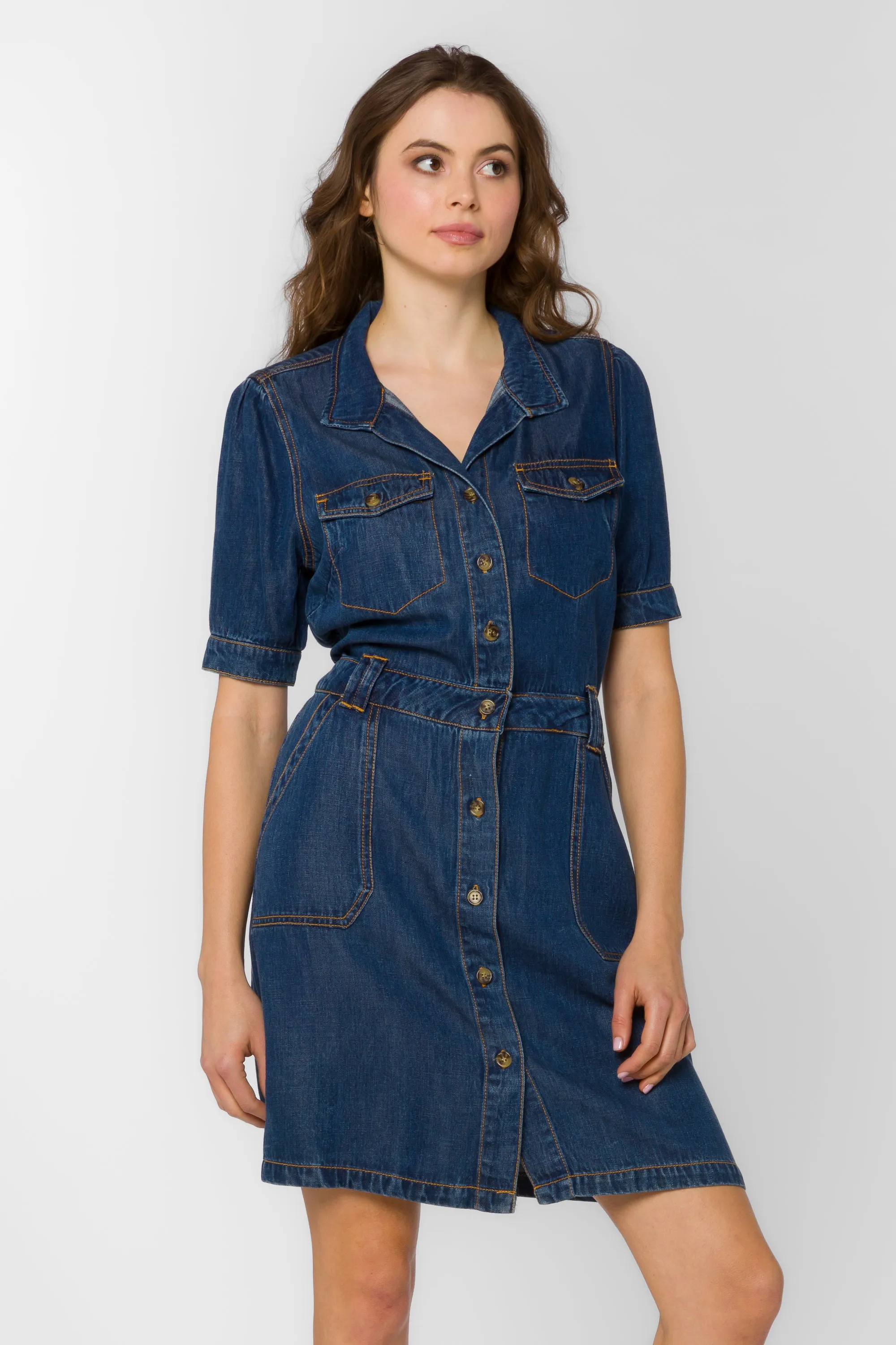 Cassius Danica Blue Dress sold by Velvet Heart product image thumbnail 2