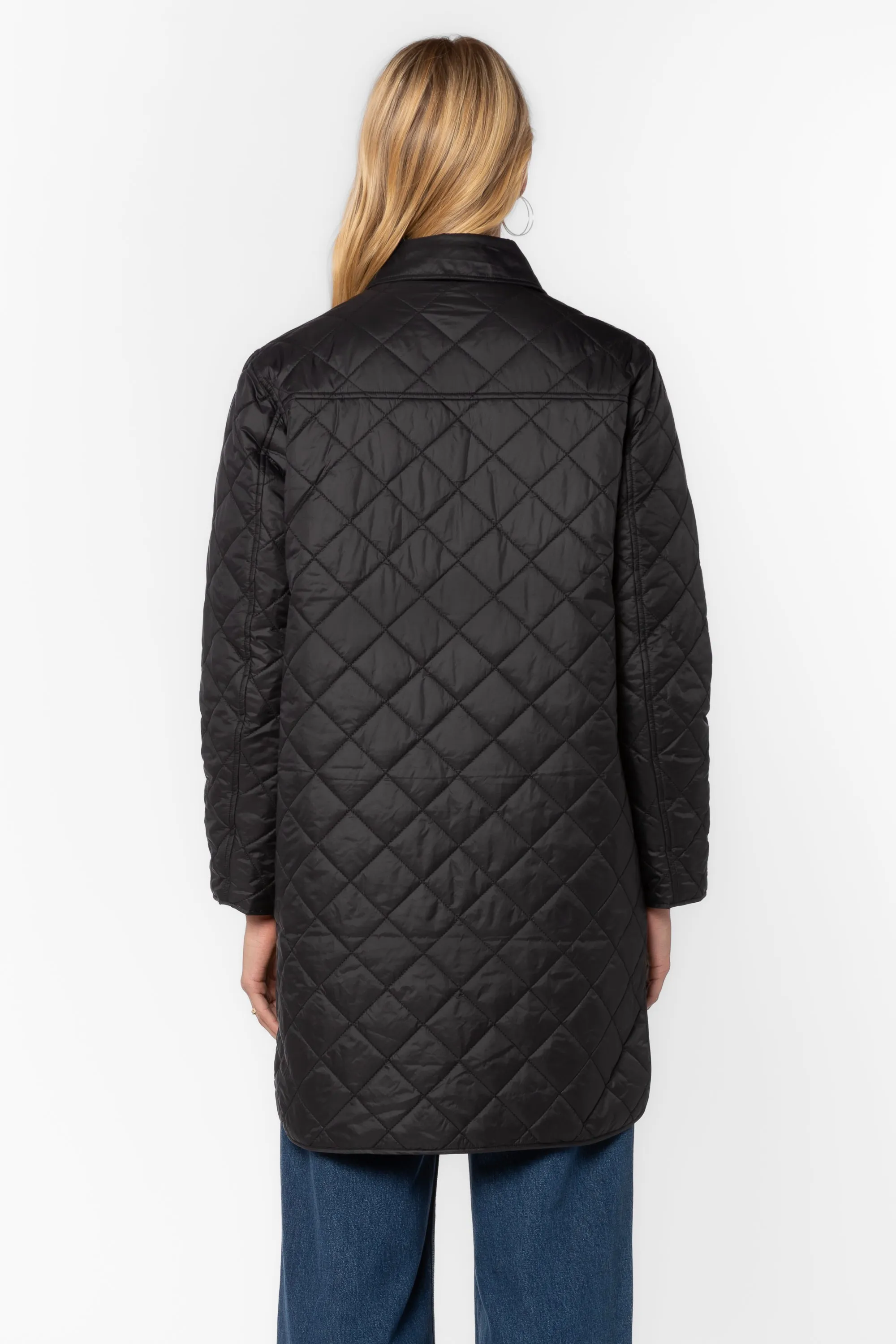 Theodore Black Jacket sold by Velvet Heart product image thumbnail 3