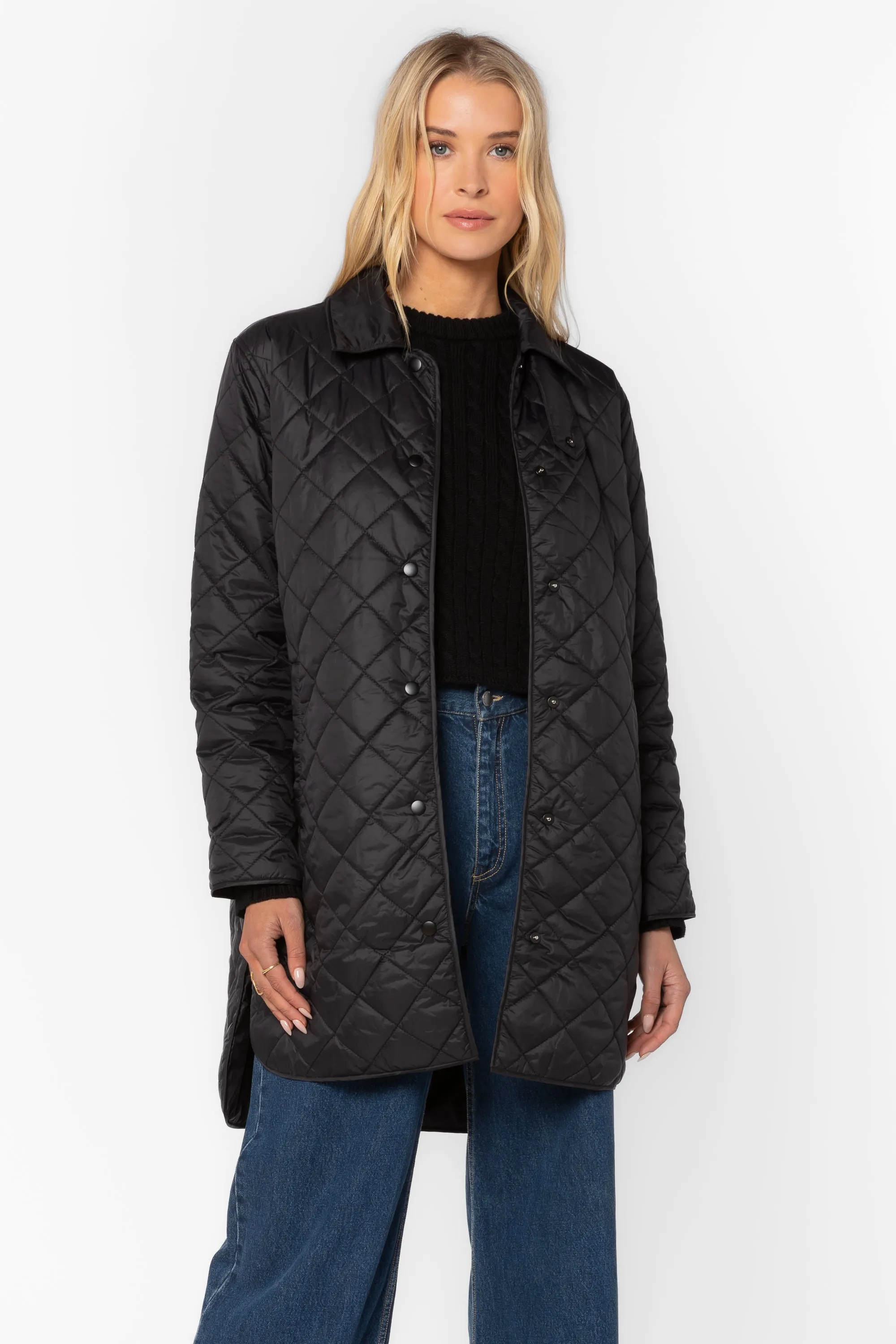 Theodore Black Jacket sold by Velvet Heart product image thumbnail 2