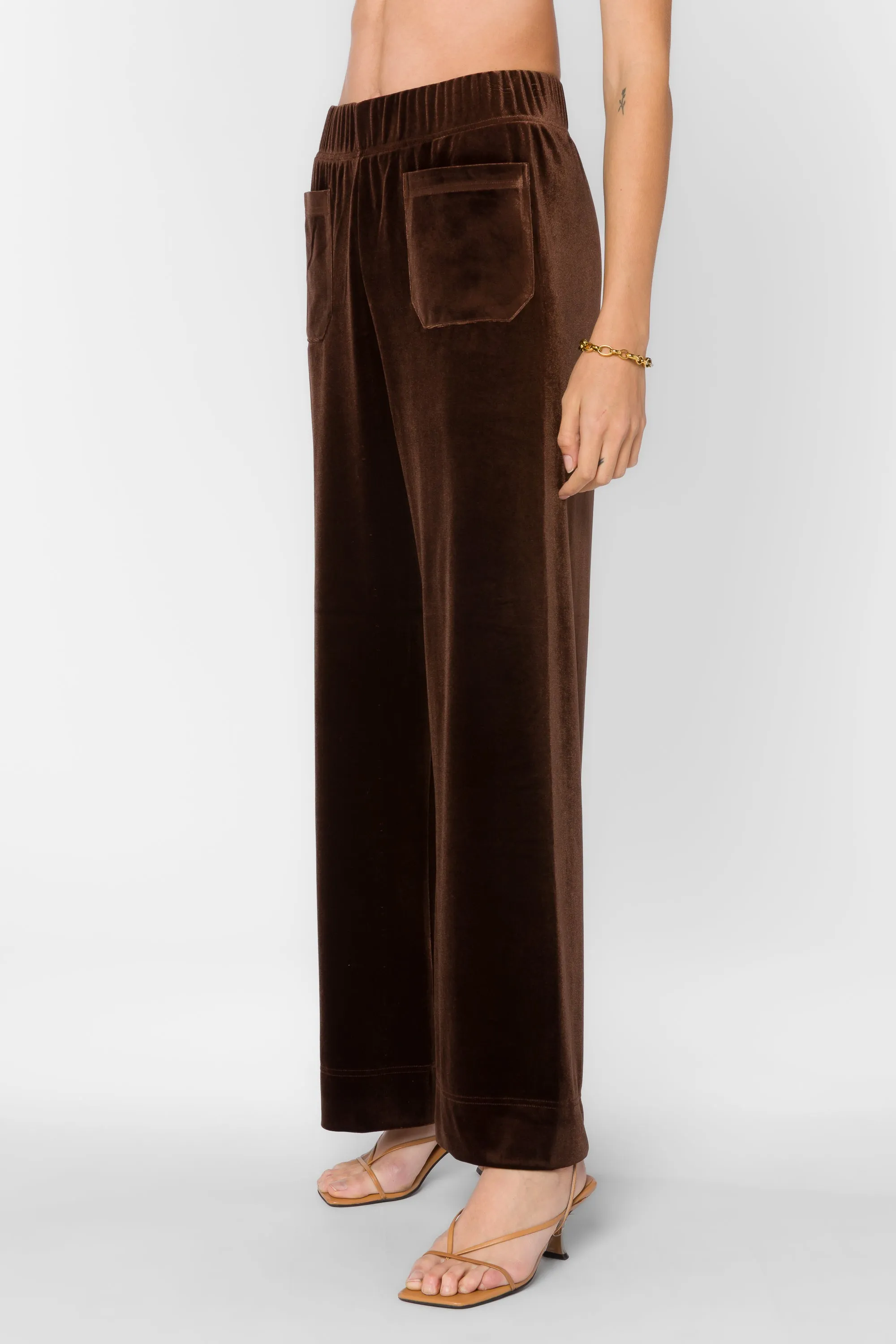 Bates Velvet Brown Pants sold by Velvet Heart product image thumbnail 3