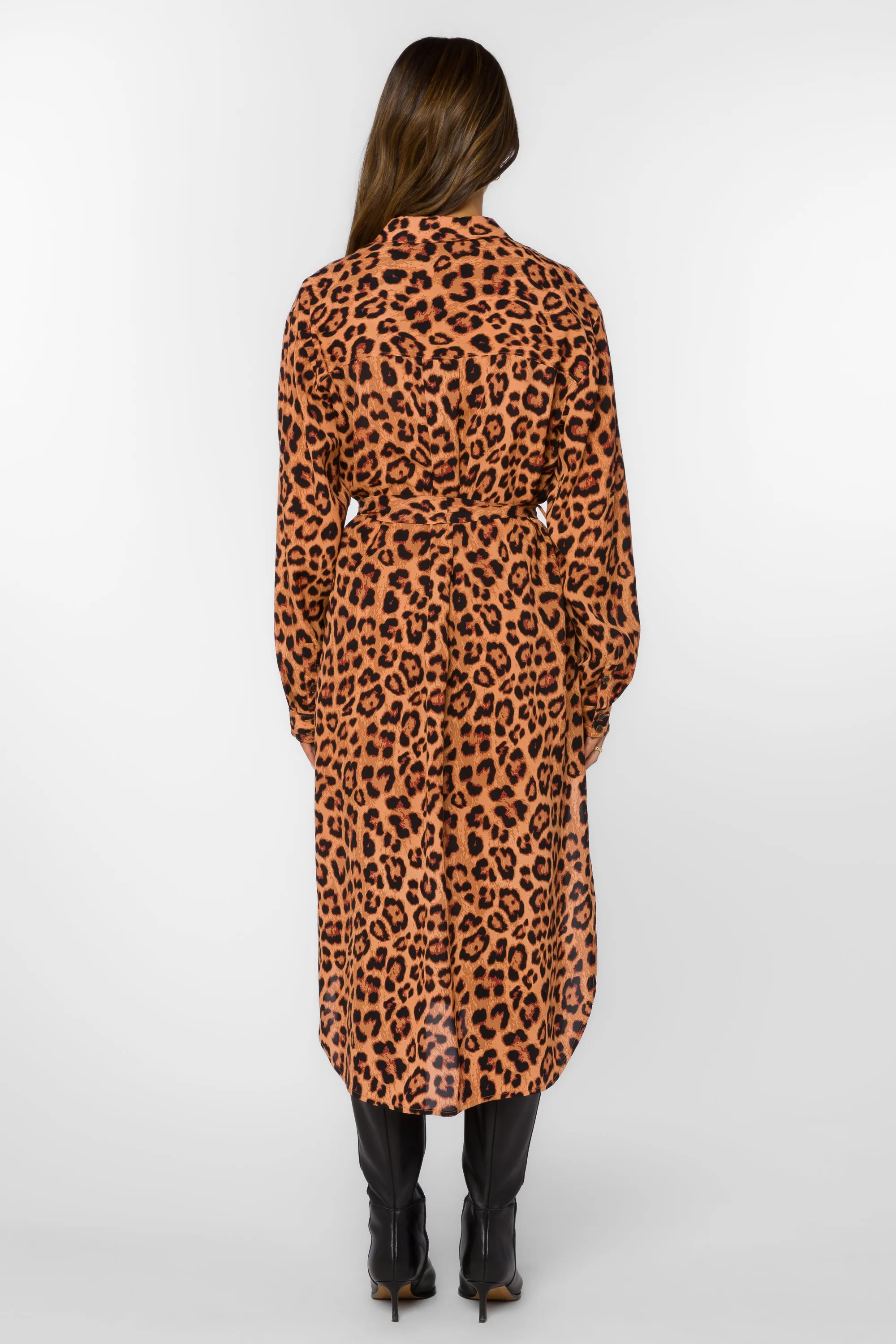 Azula Wild Leopard Dress sold by Velvet Heart product image thumbnail 3