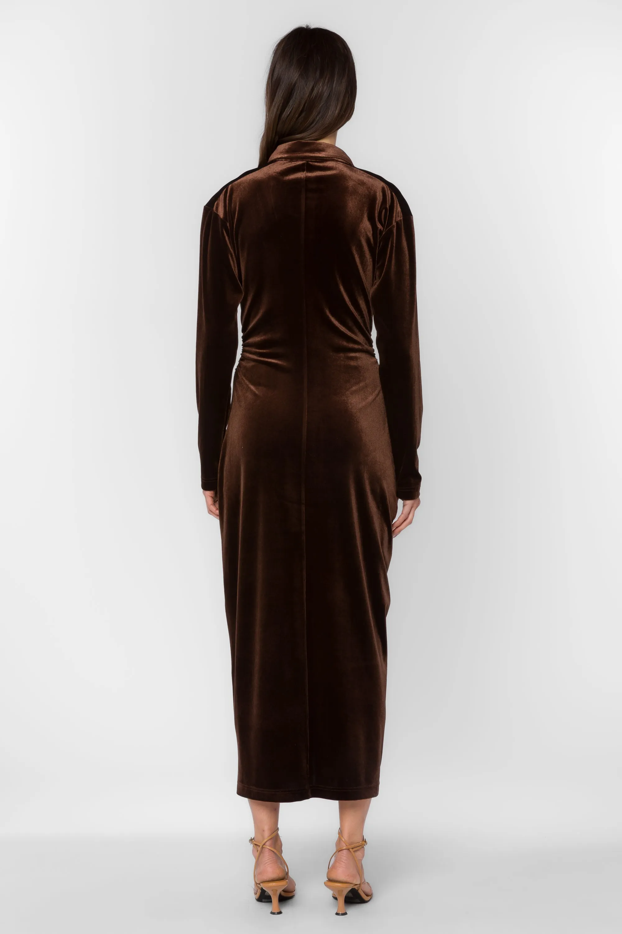 Phoenix Velvet Brown Dress sold by Velvet Heart product image thumbnail 4