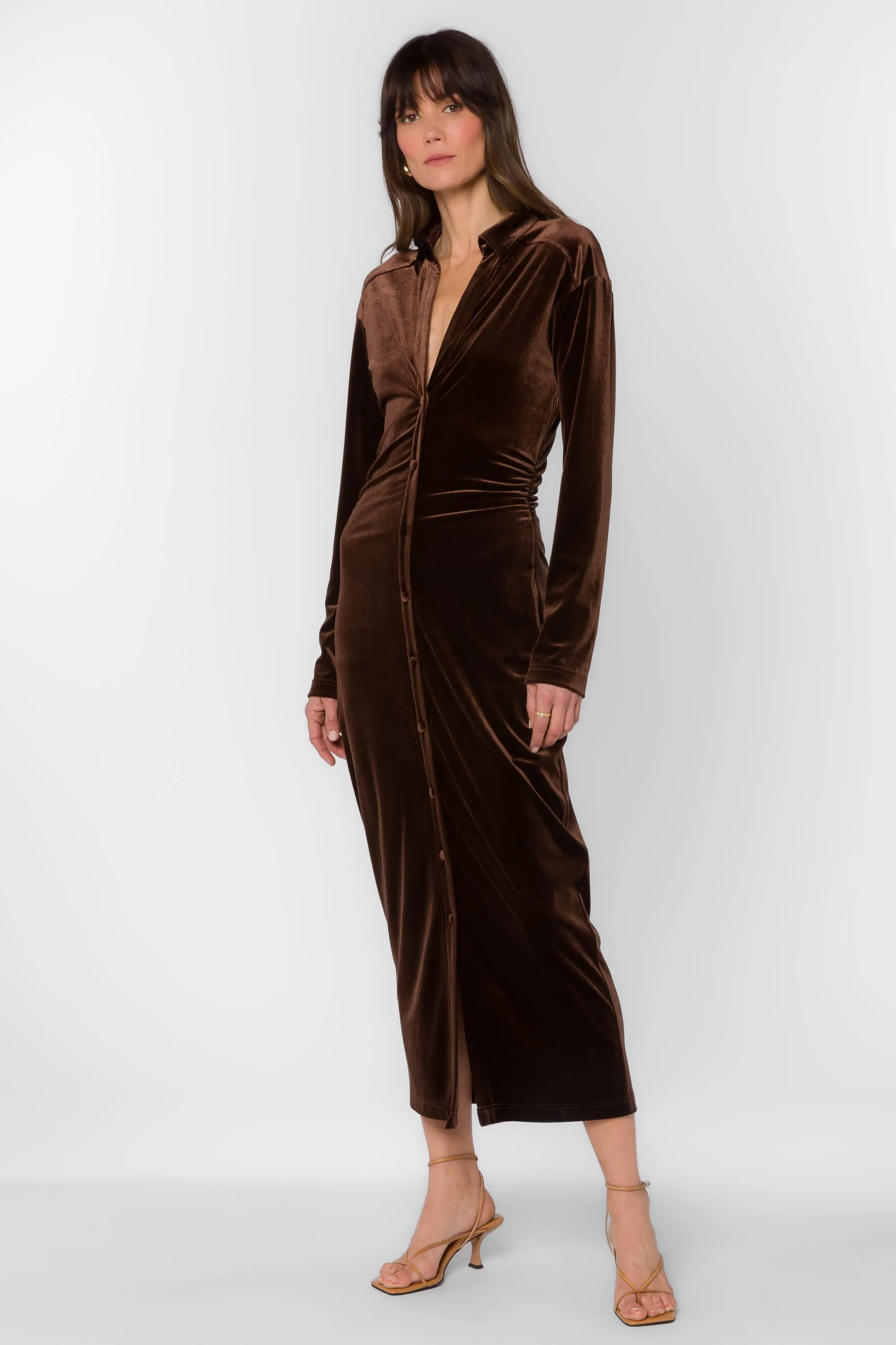 Phoenix Velvet Brown Dress sold by Velvet Heart product image thumbnail 3