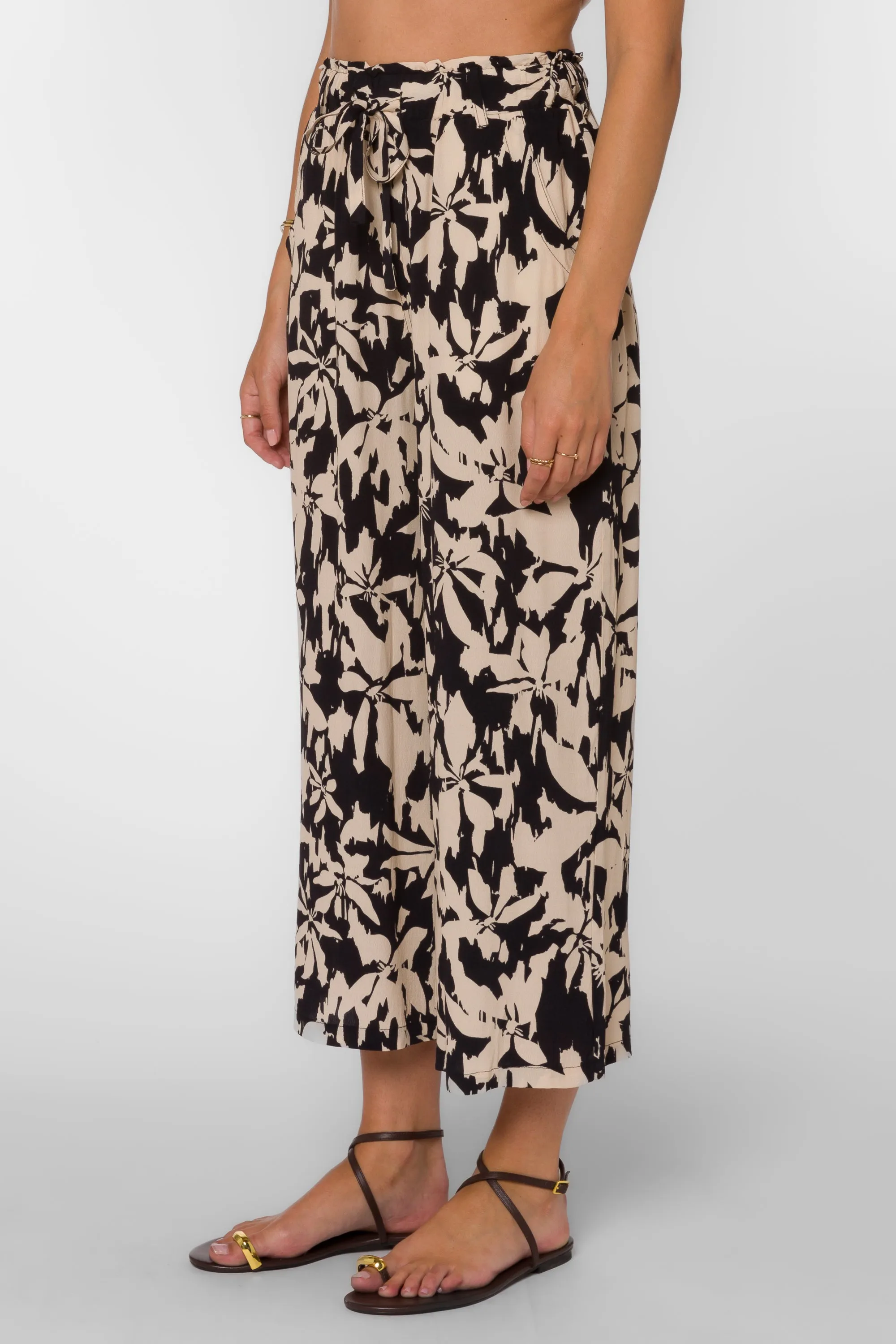 Claudette Black Cream Floral Pants sold by Velvet Heart product image thumbnail 4
