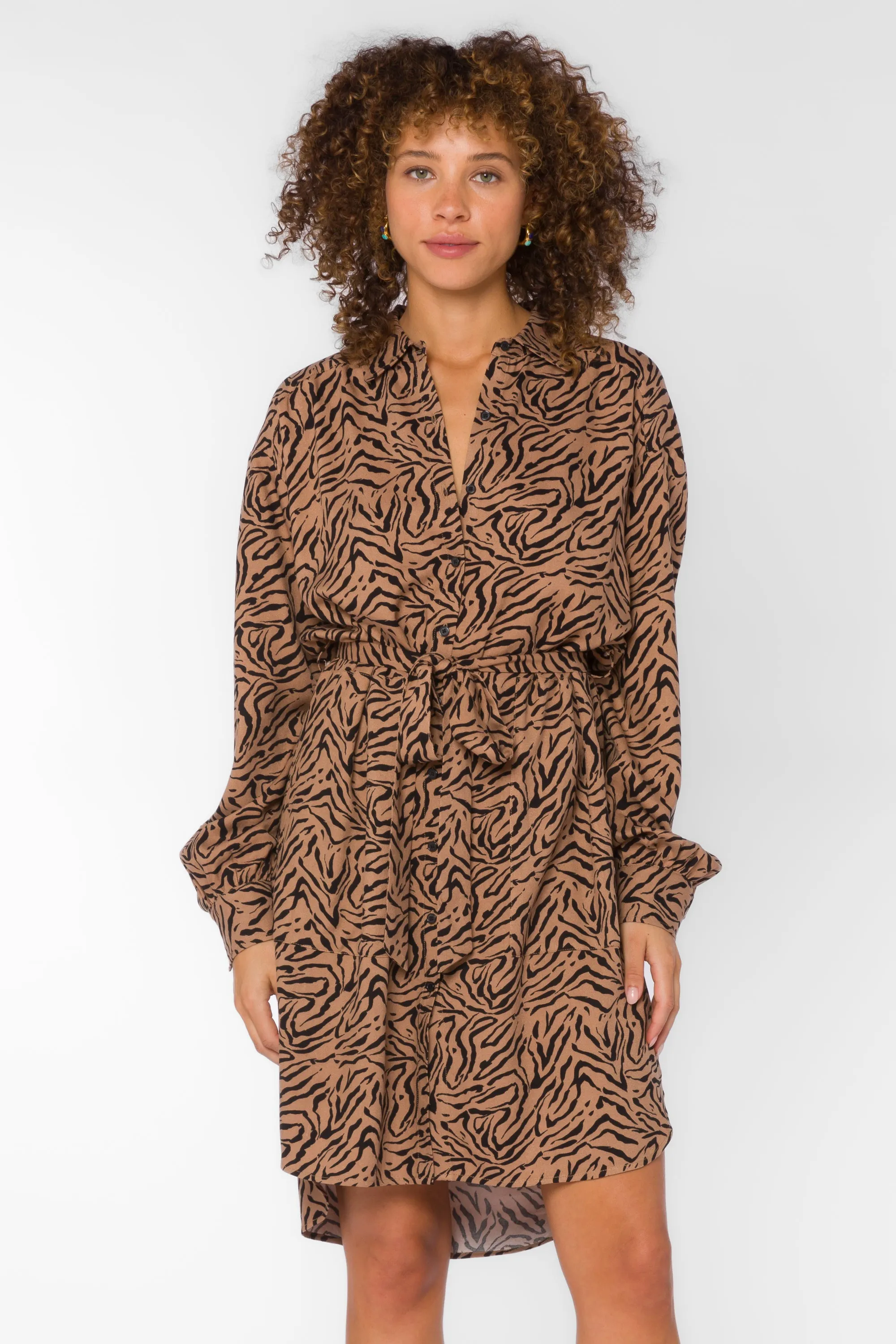 Kora Zebra Dress sold by Velvet Heart product image thumbnail 3