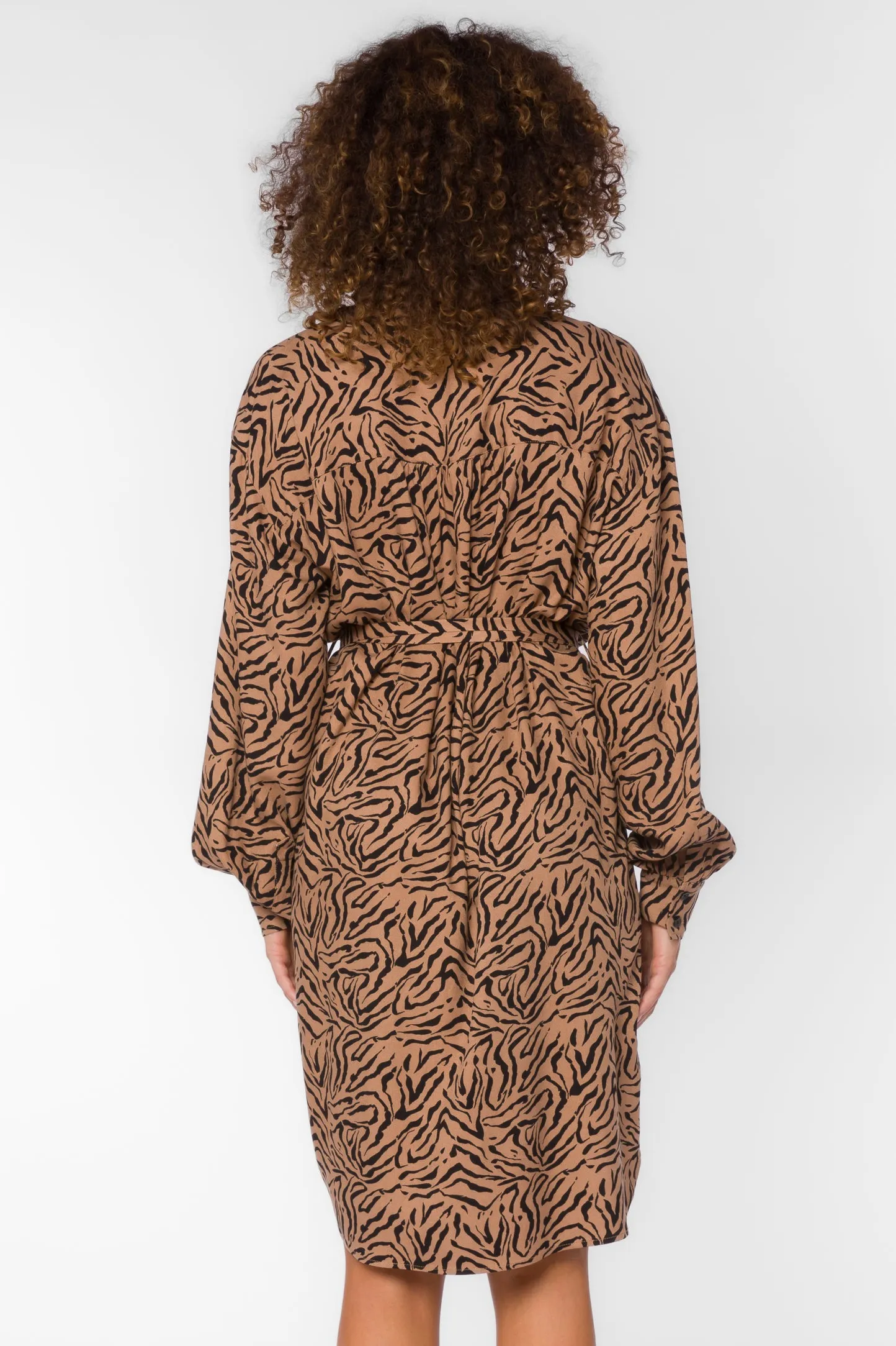 Kora Zebra Dress sold by Velvet Heart product image thumbnail 5