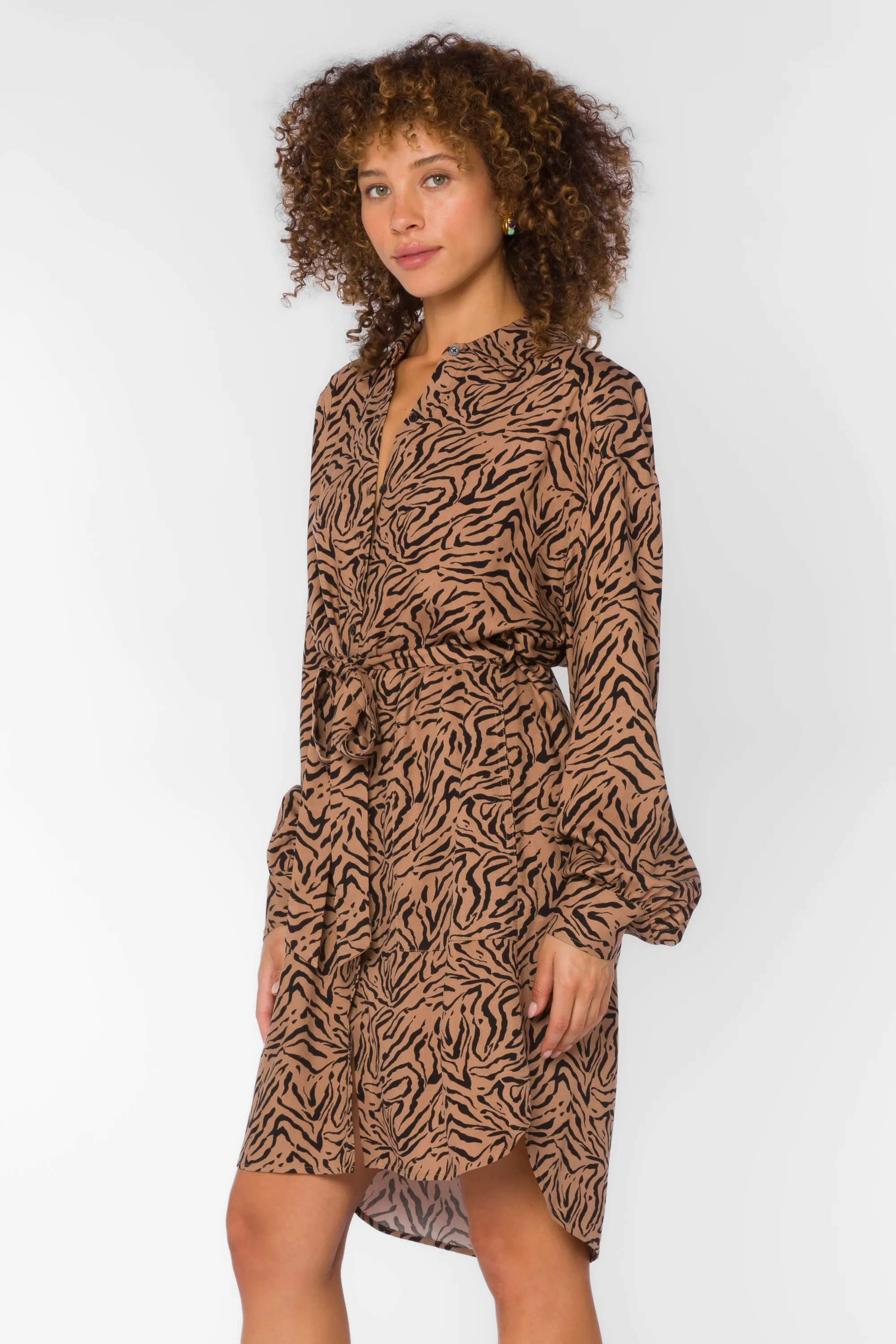 Kora Zebra Dress sold by Velvet Heart product image thumbnail 4