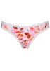 Seam Detailed Bali Scoop Bottom - Feathered Blooms sold by VENUS
