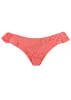 Lace Moderate Bikini Bottom - Coral sold by VENUS