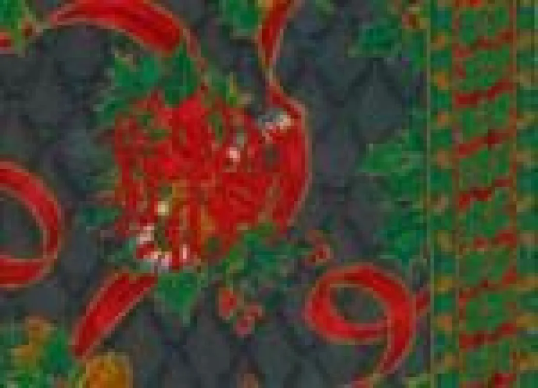 Noel '93 sold by Vera Bradley