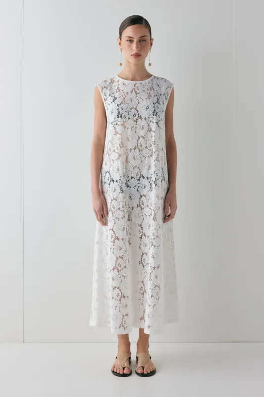 Maya Lace Midi Dress White sold by Verge Girl