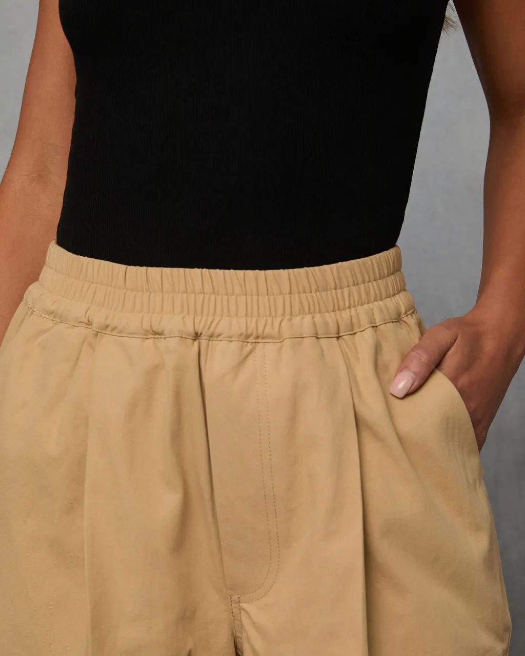 Rennes Cropped Pleated Pants sold by Vici product image thumbnail 5