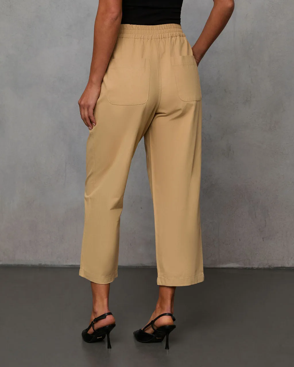 Rennes Cropped Pleated Pants sold by Vici product image thumbnail 4