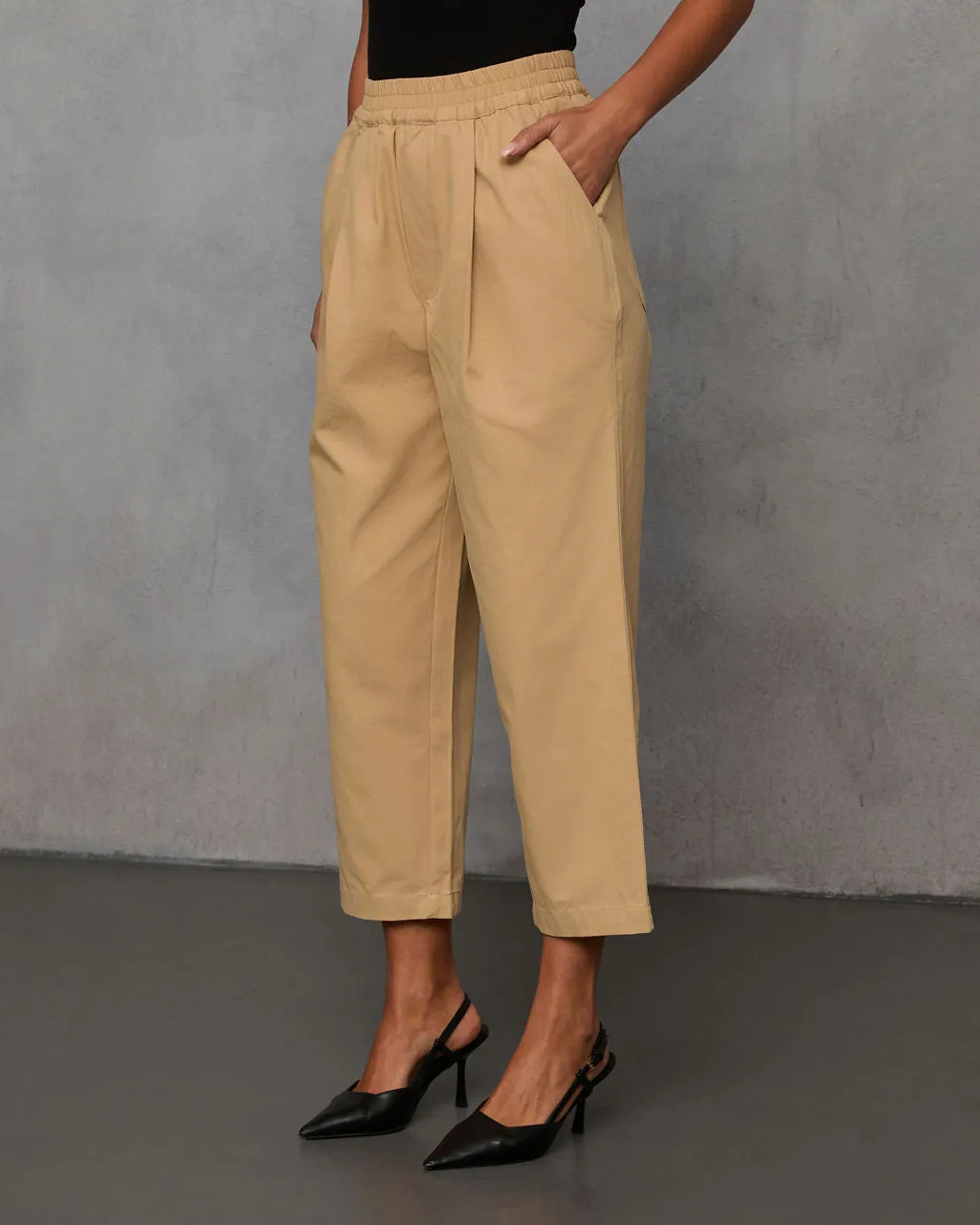 Rennes Cropped Pleated Pants sold by Vici product image thumbnail 3