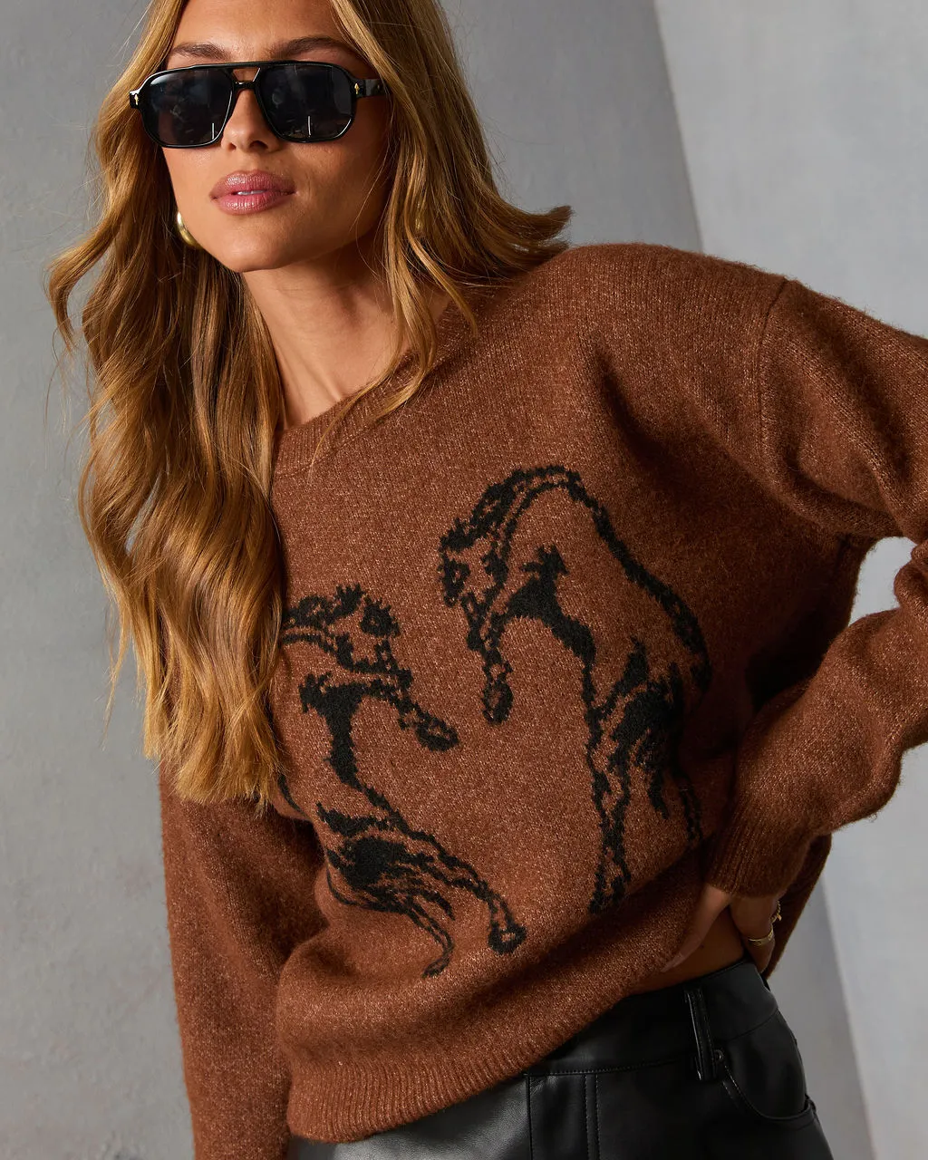 Quiet Crisp Intarsia Knit Horse Sweater sold by Vici