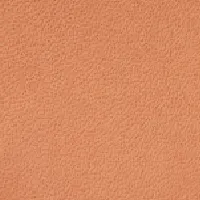 Micro Dorian Belt In Tan Leather sold by Victoria Beckham product image thumbnail 4