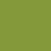 Pyjama Slip Dress In Olive sold by Victoria Beckham product image thumbnail 2