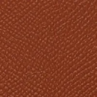 Frame Belt In Tan Grained Leather sold by Victoria Beckham product image thumbnail 4