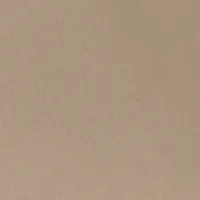 Jumbo Frame Belt In Beige Leather sold by Victoria Beckham product image thumbnail 4