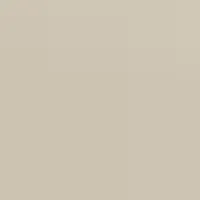 High Heel In Natural sold by Victoria Beckham product image thumbnail 5