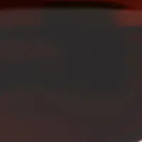 Oversized Frame Sunglasses In Brown Horn sold by Victoria Beckham product image thumbnail 4