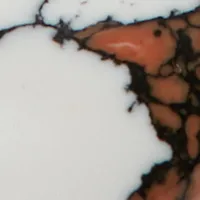 Resin Pendant Earrings In Light Gold-White sold by Victoria Beckham product image thumbnail 3