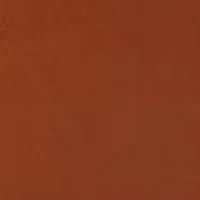 Jumbo Dorian Belt In Tan Leather sold by Victoria Beckham product image thumbnail 4