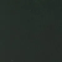 Jumbo Frame Belt In Dark Green Glossed Leather sold by Victoria Beckham product image thumbnail 4