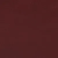 Jumbo Dorian Belt In Burgundy Glossed Leather sold by Victoria Beckham product image thumbnail 4