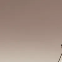 Classic V Metal Navigator Sunglasses in Gold and Chocolate sold by Victoria Beckham product image thumbnail 2