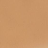 Frame Belt In Camel Leather sold by Victoria Beckham product image thumbnail 3
