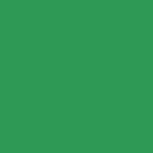 Thin Belt With Plaque Buckle In Green sold by Victoria Beckham